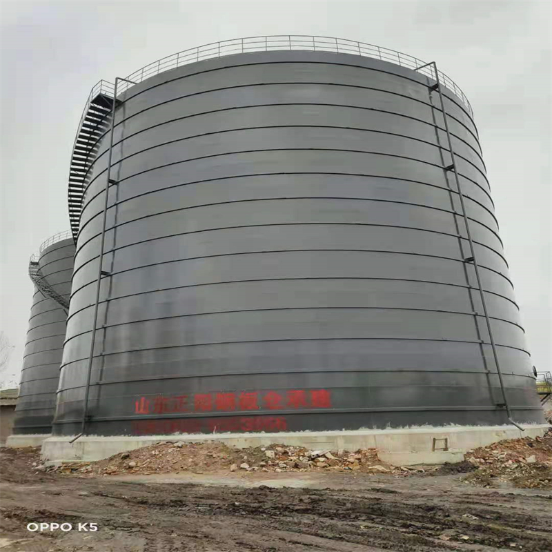 聂荣3万吨大型钢板库