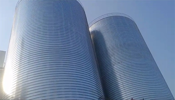 聂荣2座混凝土高架卷板仓